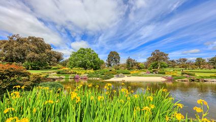 Japanese Garden - Cowra 